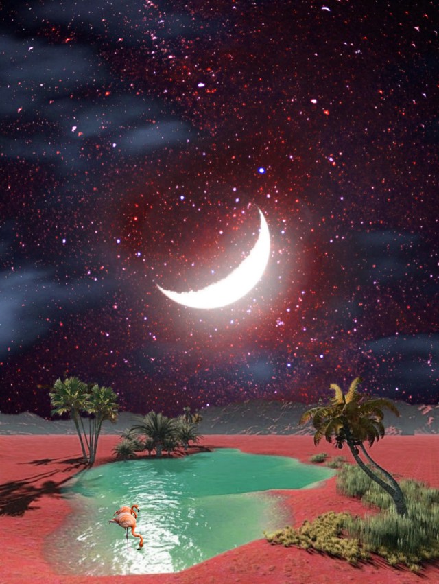 Image - Landscape Oasis - HD Wallpaper 