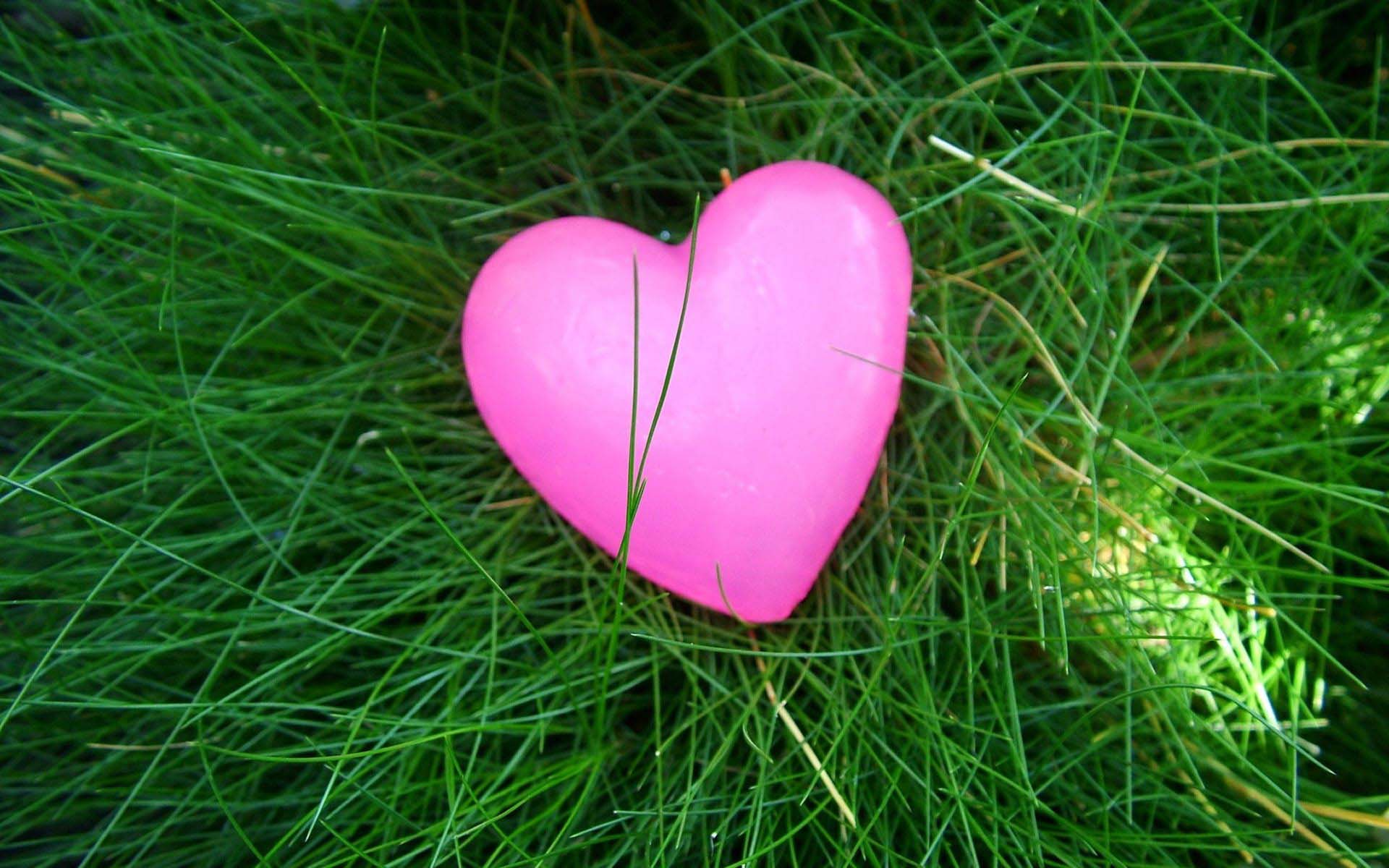 Pink Heart Wallpapers And Photos For Desktop - Valentines Day Lawn Care - HD Wallpaper 