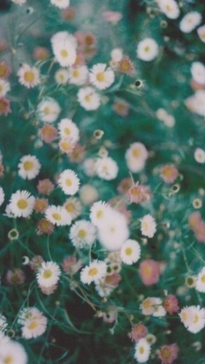 Ll Believe In You When You Don T Believe In You - HD Wallpaper 