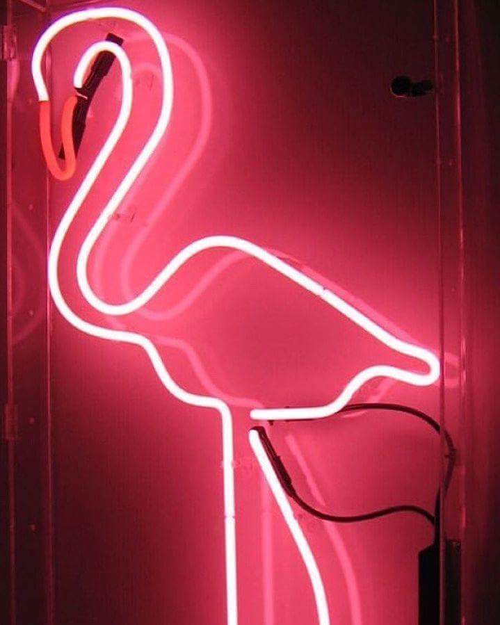 Flamingo, Neon, And Wallpaper Image - Pink Flamingo - HD Wallpaper 