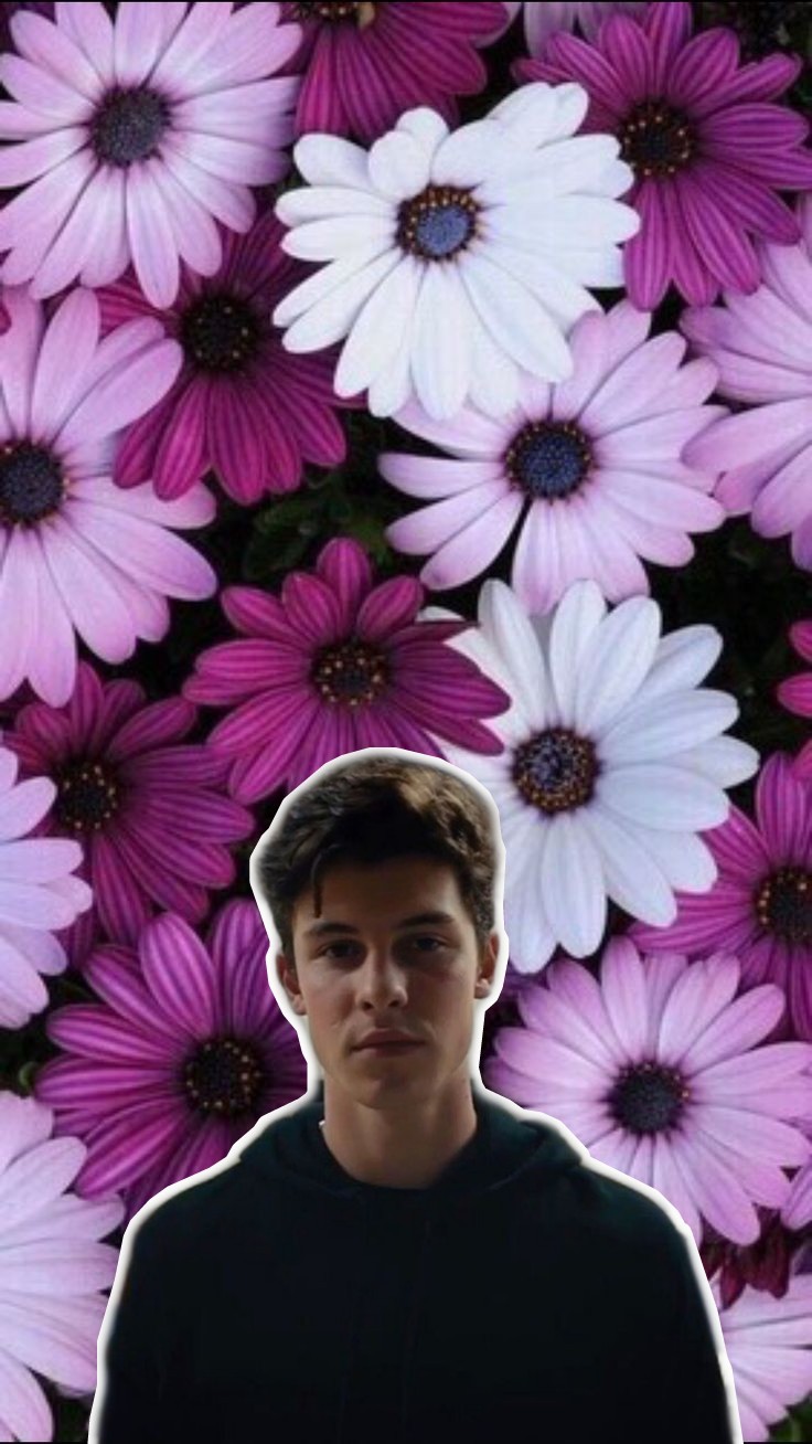 Image - Fondo De Pantallas Flores - HD Wallpaper 