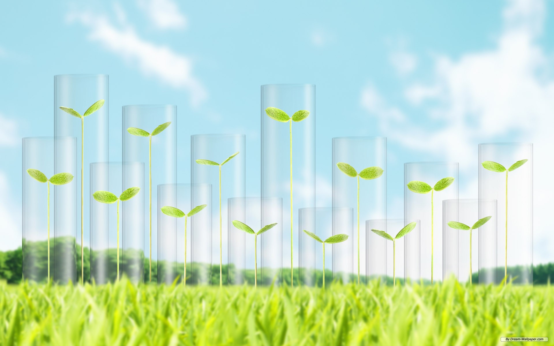 Free Nature Wallpaper - Air Purifier - HD Wallpaper 