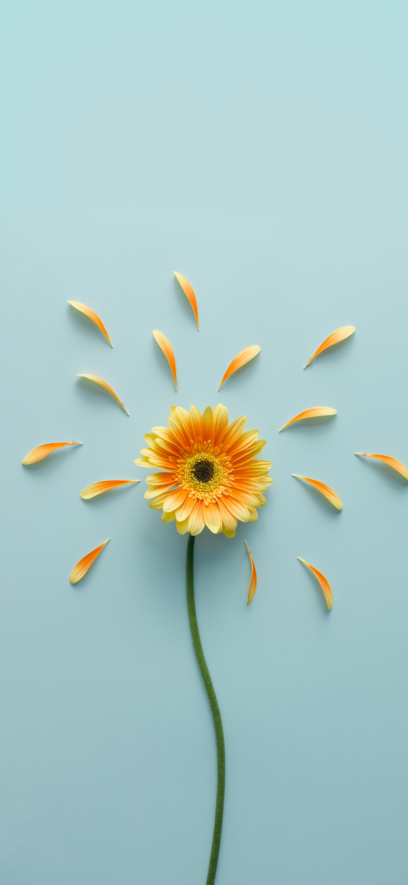 Get Well Soon Messages For Boss - HD Wallpaper 