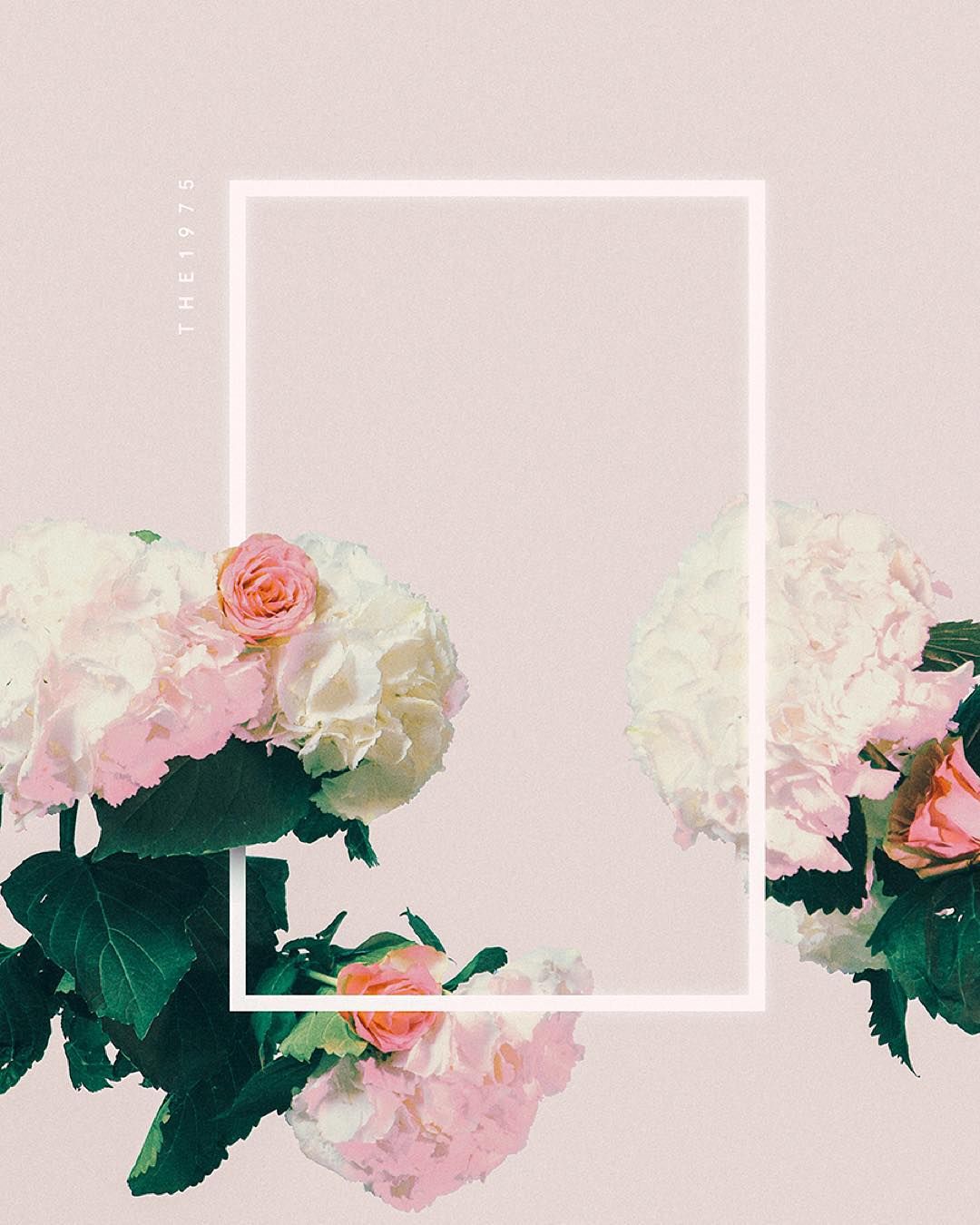 1975 Flowers - HD Wallpaper 