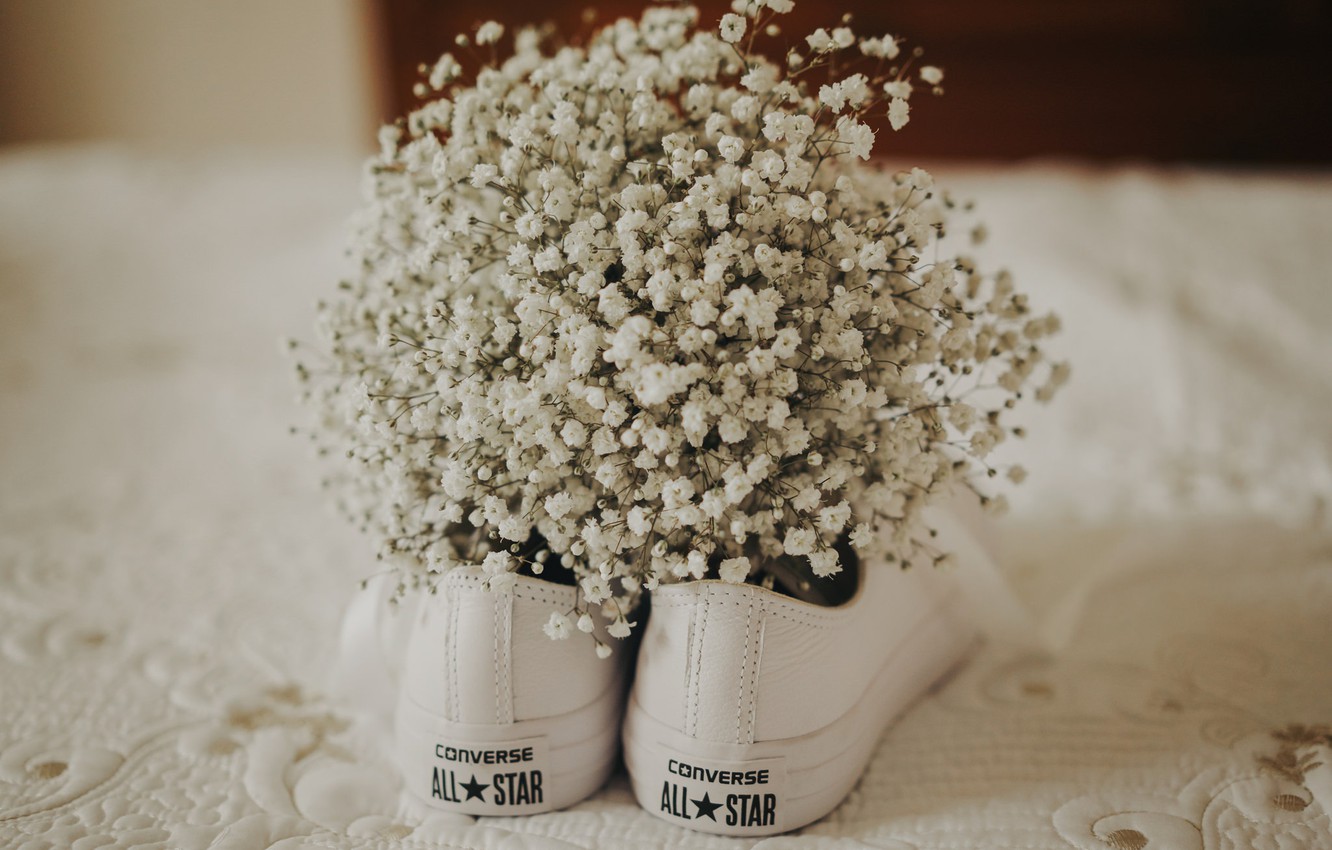 Photo Wallpaper Flowers, Shoes, Sneakers, Converse - Цветы В Кедах - HD Wallpaper 