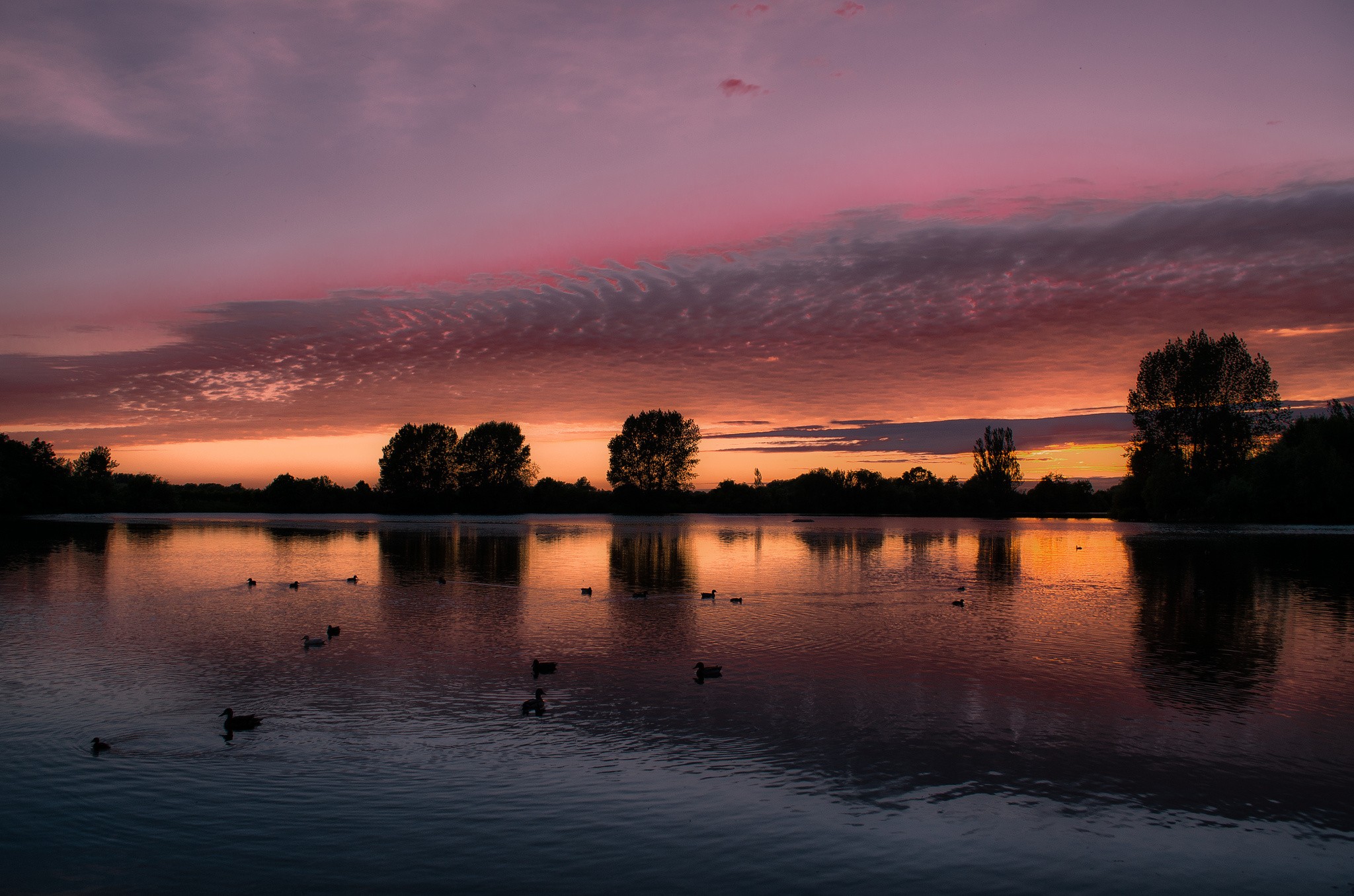 Reflection - HD Wallpaper 