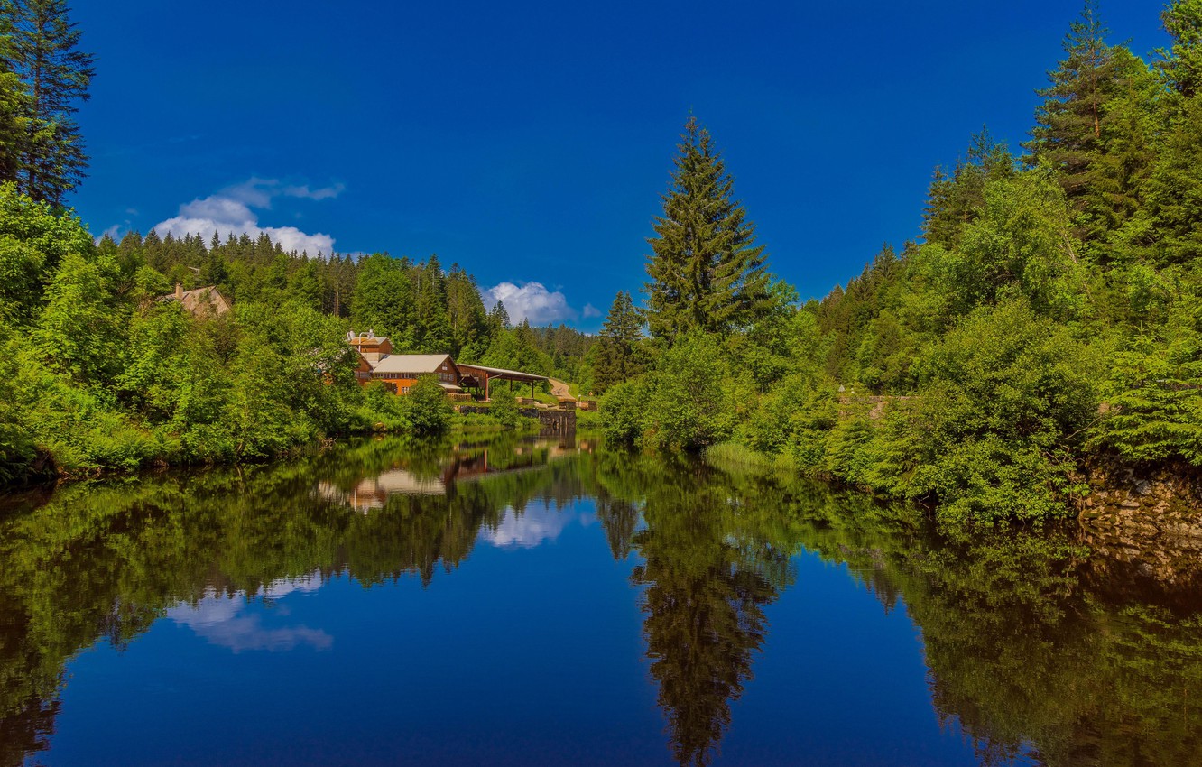 Photo Wallpaper Forest, Lake, Reflection, Home, Germany, - Schwarzwald - HD Wallpaper 