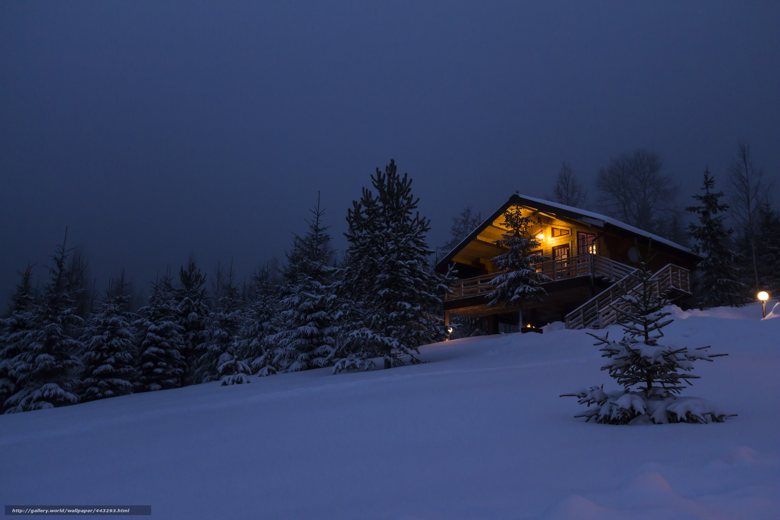 Download Wallpaper Home, Forest, Snow, House In The - Winter Forest - HD Wallpaper 