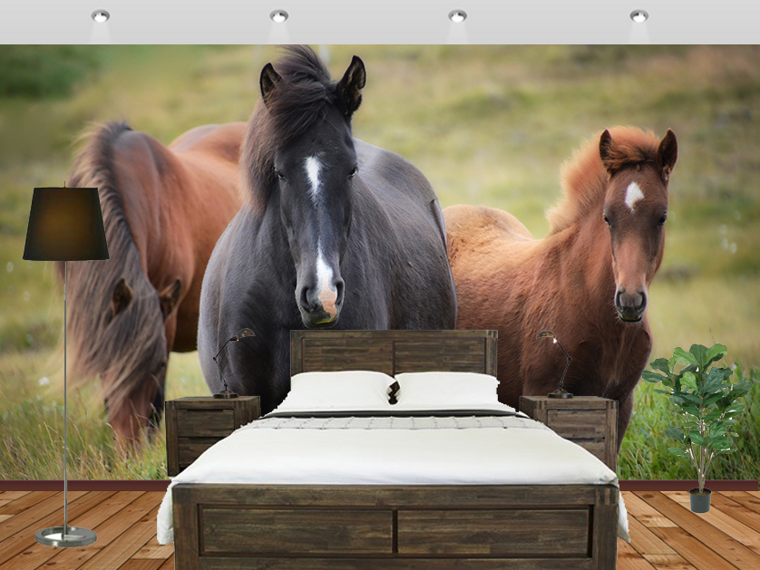 Healthy Horses In The Windy Forest Wallpaper Bedroom - Animales Salvajes Frases Célebres Imagenes De Animales - HD Wallpaper 