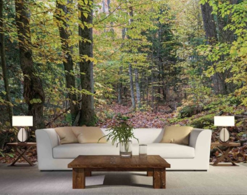 Familia De Elefante En Pared - HD Wallpaper 