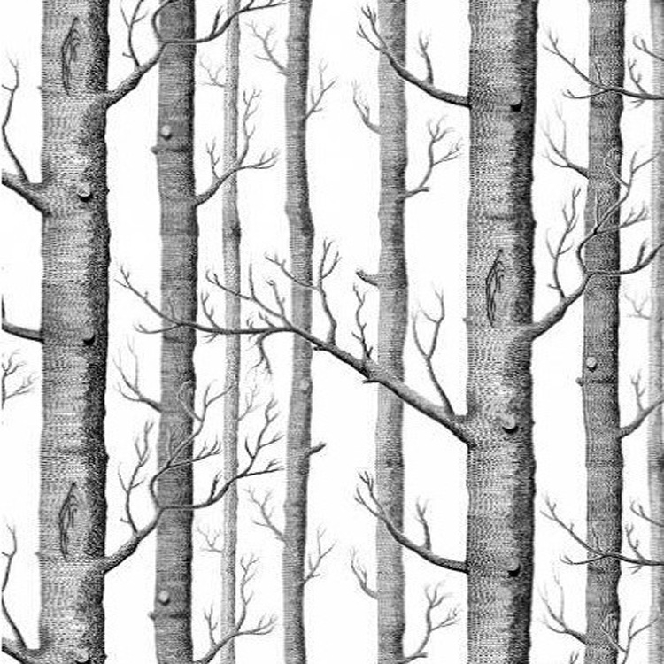 Обои Cole & Son Купить - HD Wallpaper 