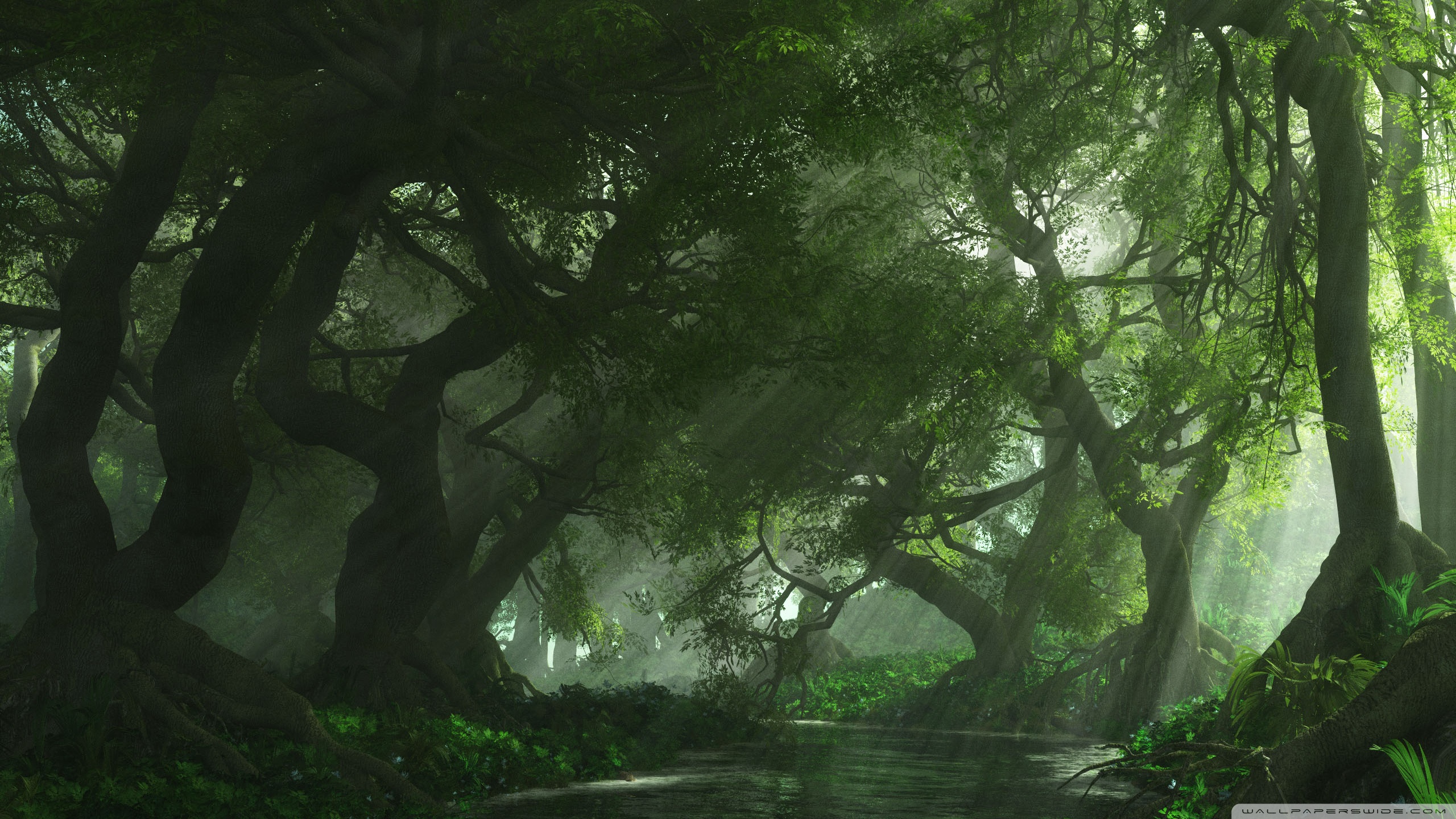 Hd Forest Lake Background - 2560x1440 Wallpaper - teahub.io