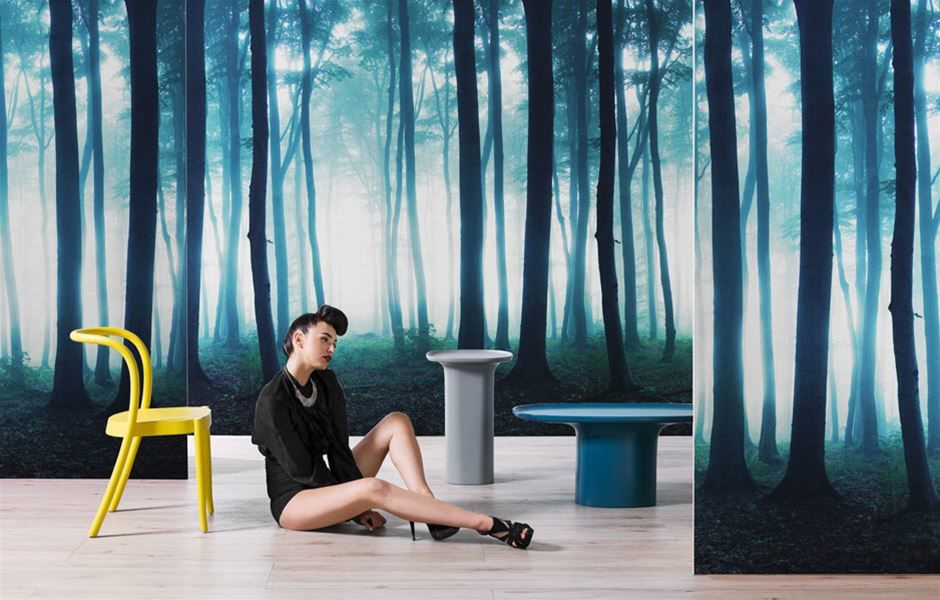 Gloomy Silence 01 Forest-themed Wallpaper - Sitting - HD Wallpaper 