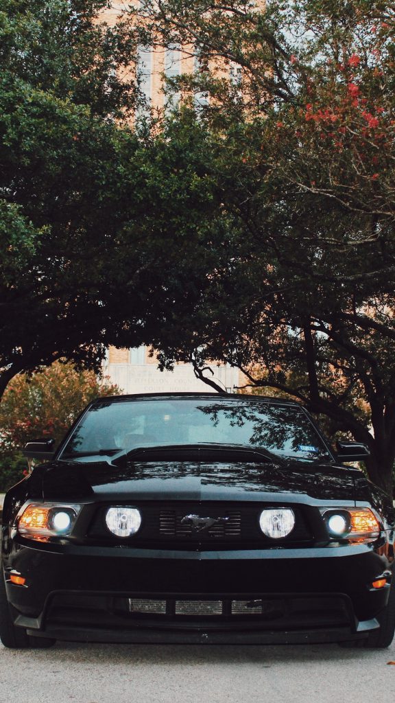 Black Mustang Front View - HD Wallpaper 