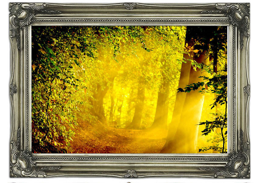 Enchanted Forest Wallpaper Mural - HD Wallpaper 