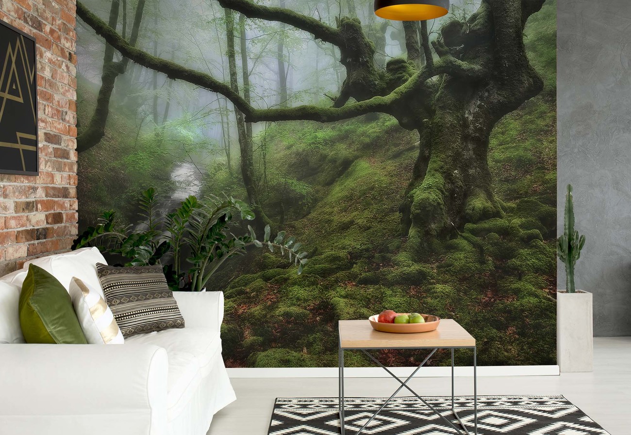 The Enchanted Forest Wallpaper Mural - Fototapet Himmel - HD Wallpaper 