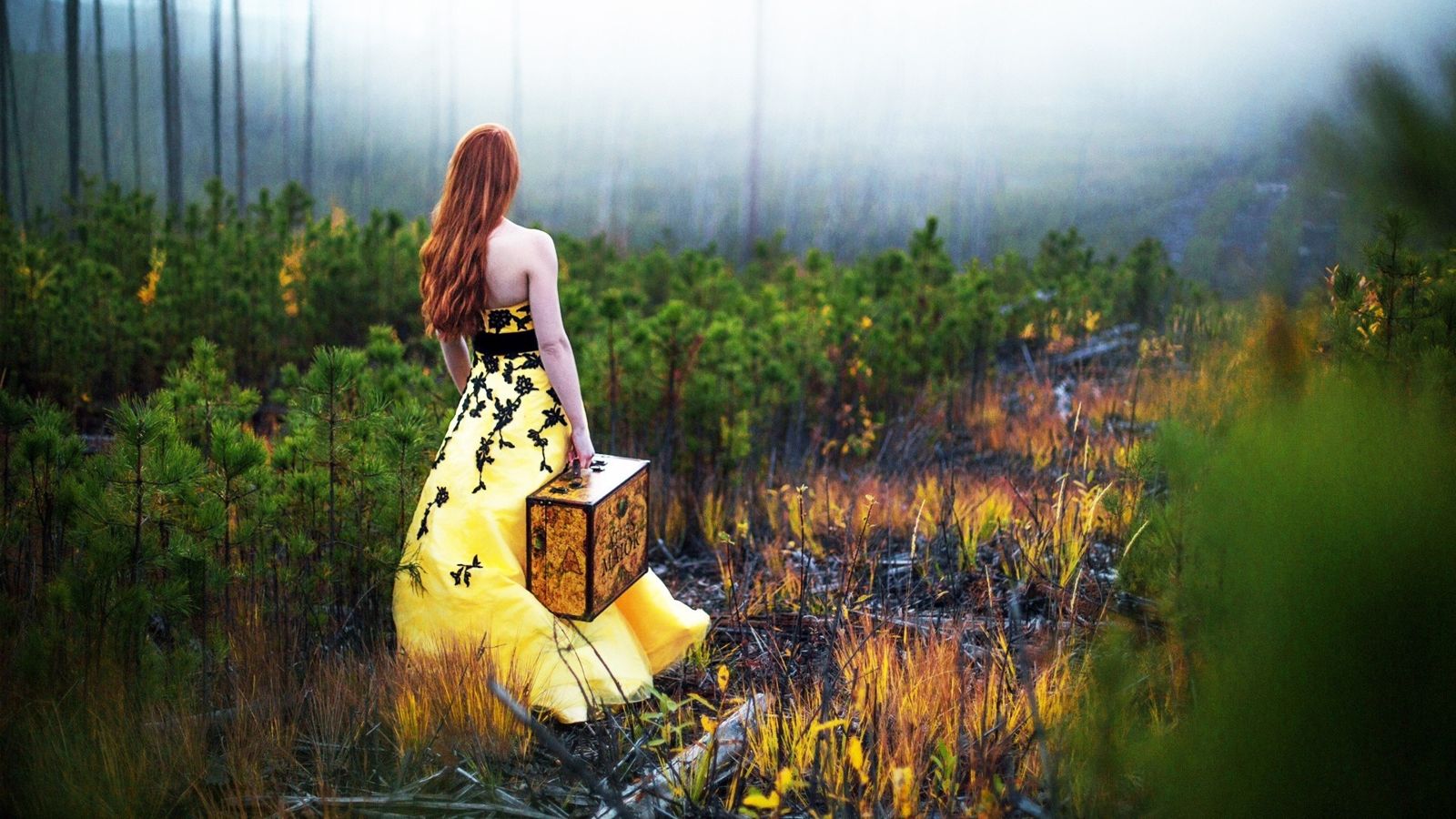 Nature Woman Girl Model Beautiful Young Outdoors Forest 1600x900 Wallpaper Teahub Io