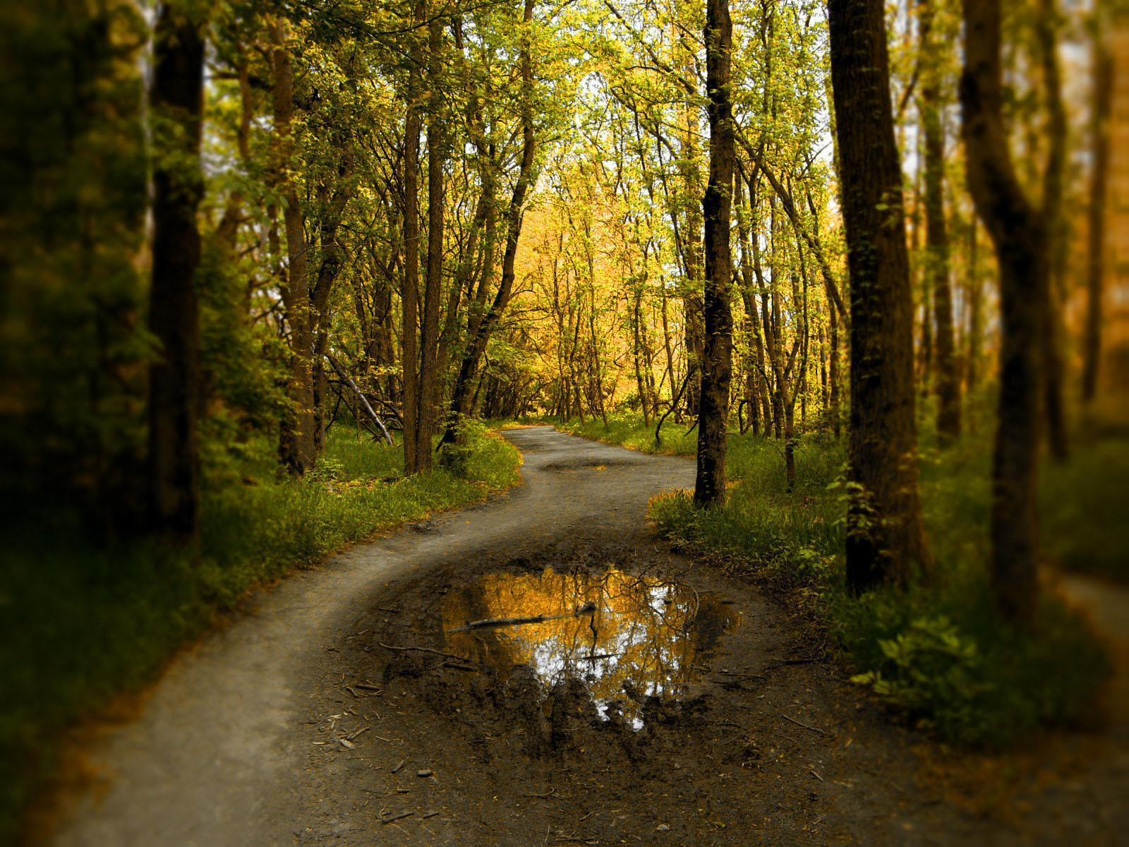 Beautiful - Lugares Lindos - HD Wallpaper 