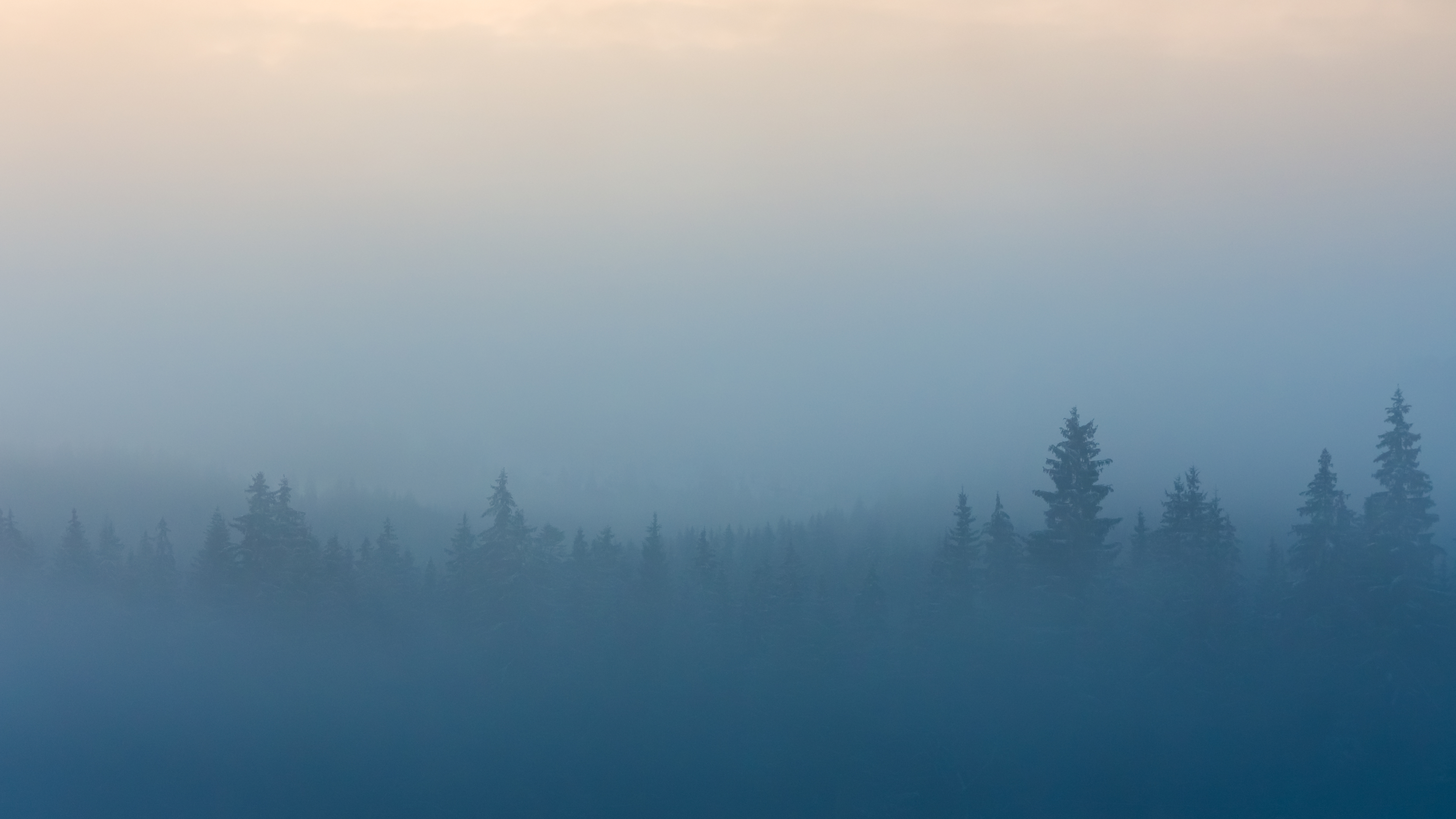 Misty Forest Wallpaper 51x Wallpaper Teahub Io Misty Forest Wallpaper 51x Wallpaper Teahub Io