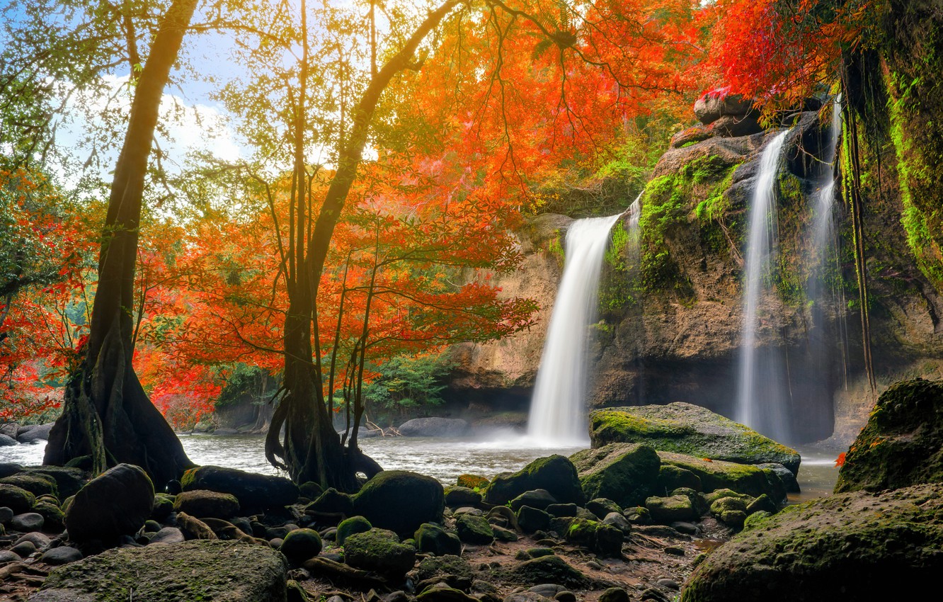 Photo Wallpaper Autumn, Forest, Water, Nature, River, - Forest Background With Waterfall - HD Wallpaper 