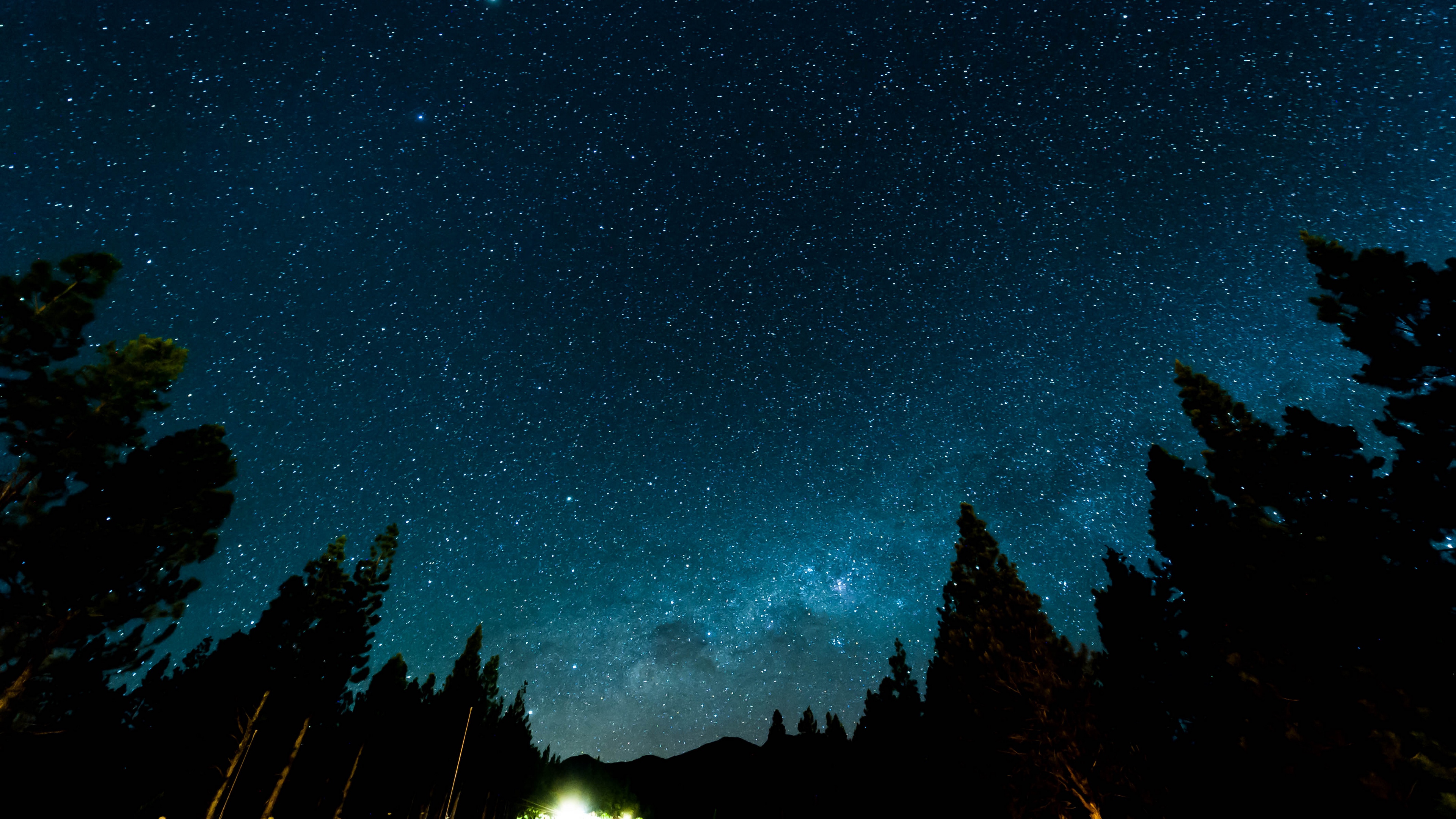 Starry Sky Night Stars Forest Nebula 4k - HD Wallpaper 