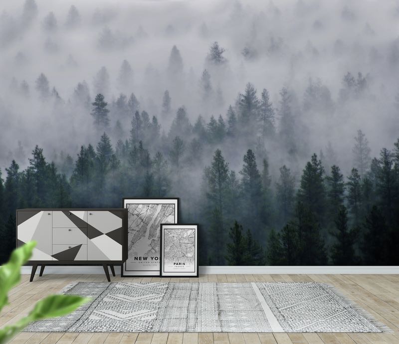 Misty Forest Wallpaper - HD Wallpaper 
