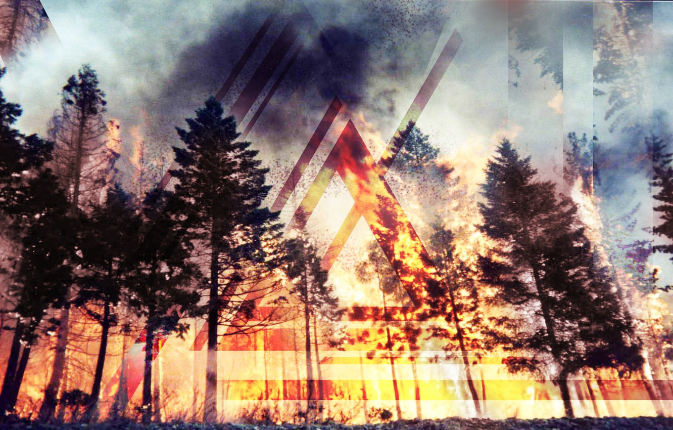 Photo Wallpaper Forest, Line, Fire, Fire, Fire, Forest, - Forest Fire - HD Wallpaper 