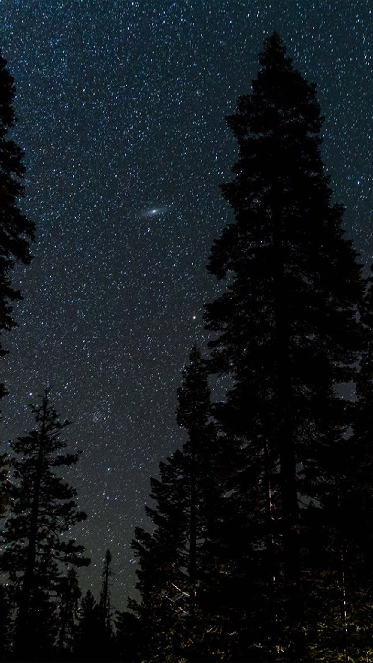 Hd Wallpapers For Iphone Night Stars - HD Wallpaper 