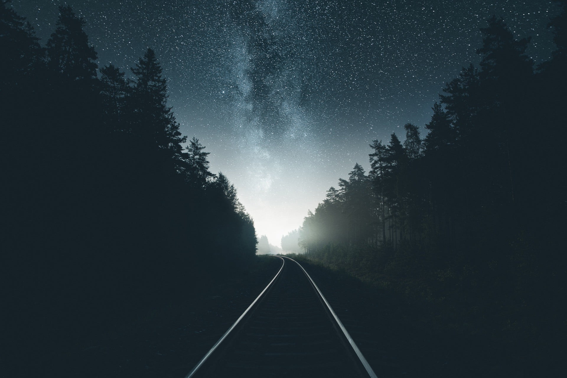 Night Forest Road - HD Wallpaper 