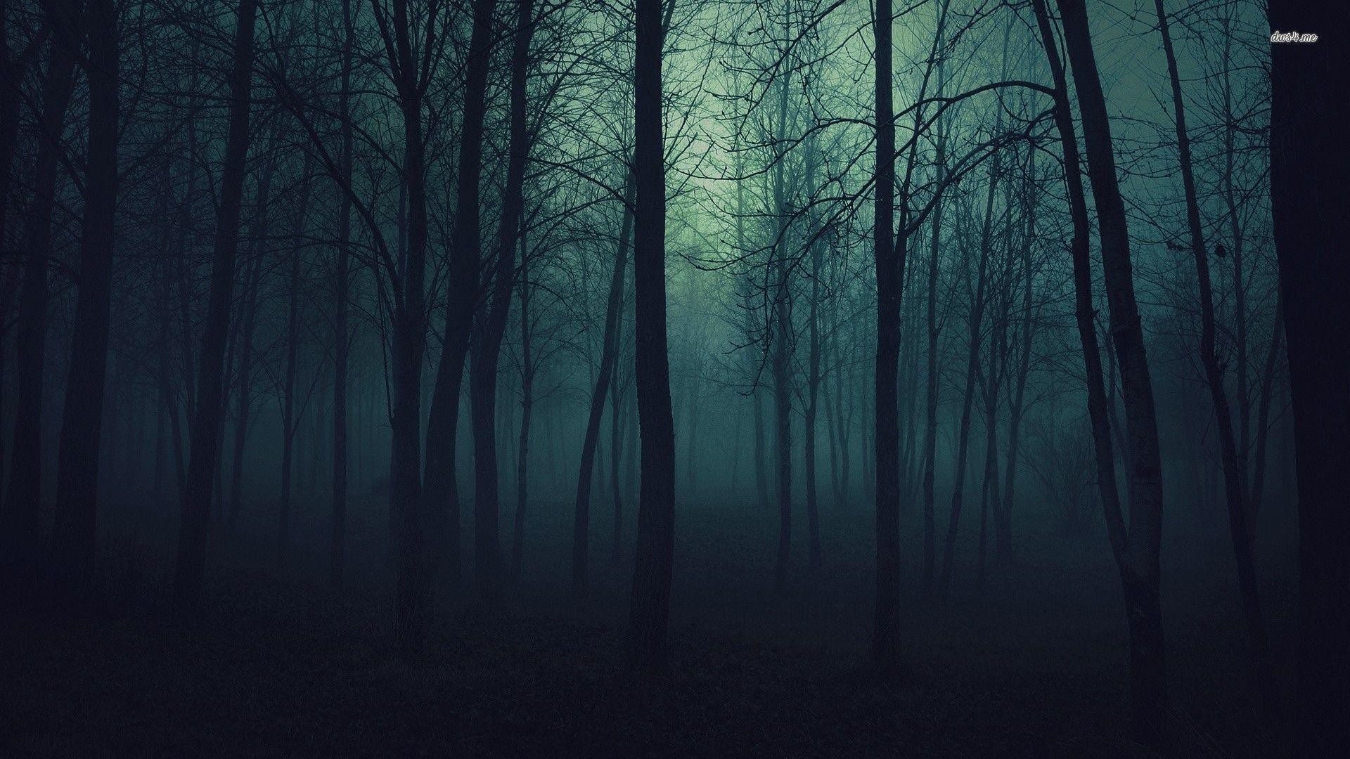 Wallpapers For > Dark Forest Wallpaper 
 Data-src /w/full/d/9/3/232541 - Forest Wallpaper Dark - HD Wallpaper 