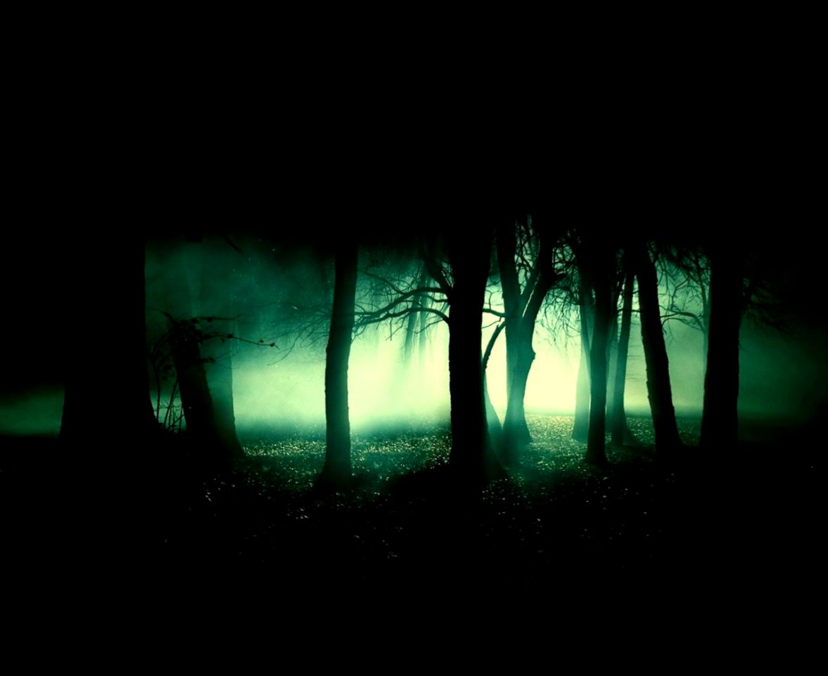 Black Forest Wallpapers Wallpaper Cave - Don T Use Anyone Quotes - HD Wallpaper 