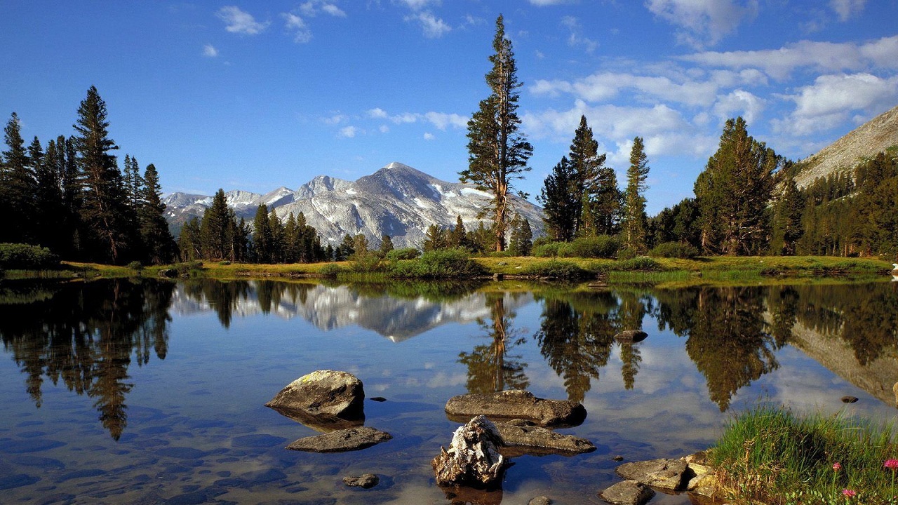 Beautiful Lake And Mountain On Forest Wallpaper Full - Yosemite National Park - HD Wallpaper 
