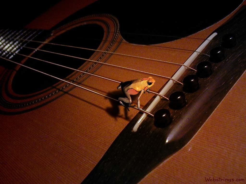 Acoustic Guitar - HD Wallpaper 