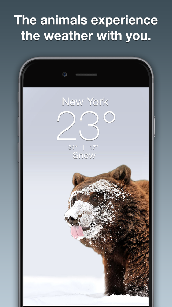 Wildlife Wallpaper Weather - Iphone - HD Wallpaper 