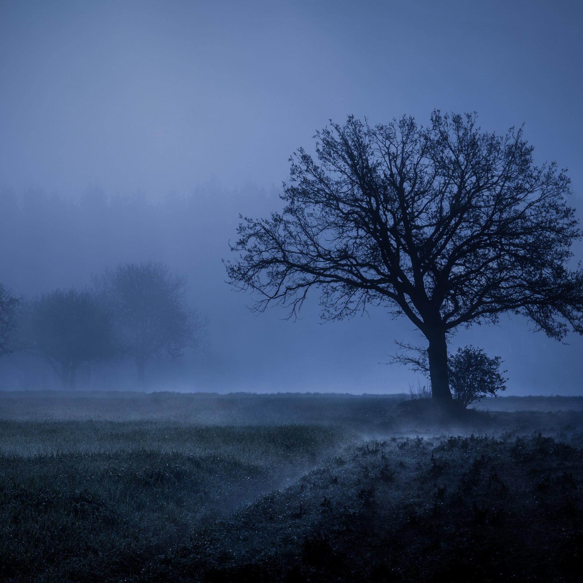 4k Weather - HD Wallpaper 