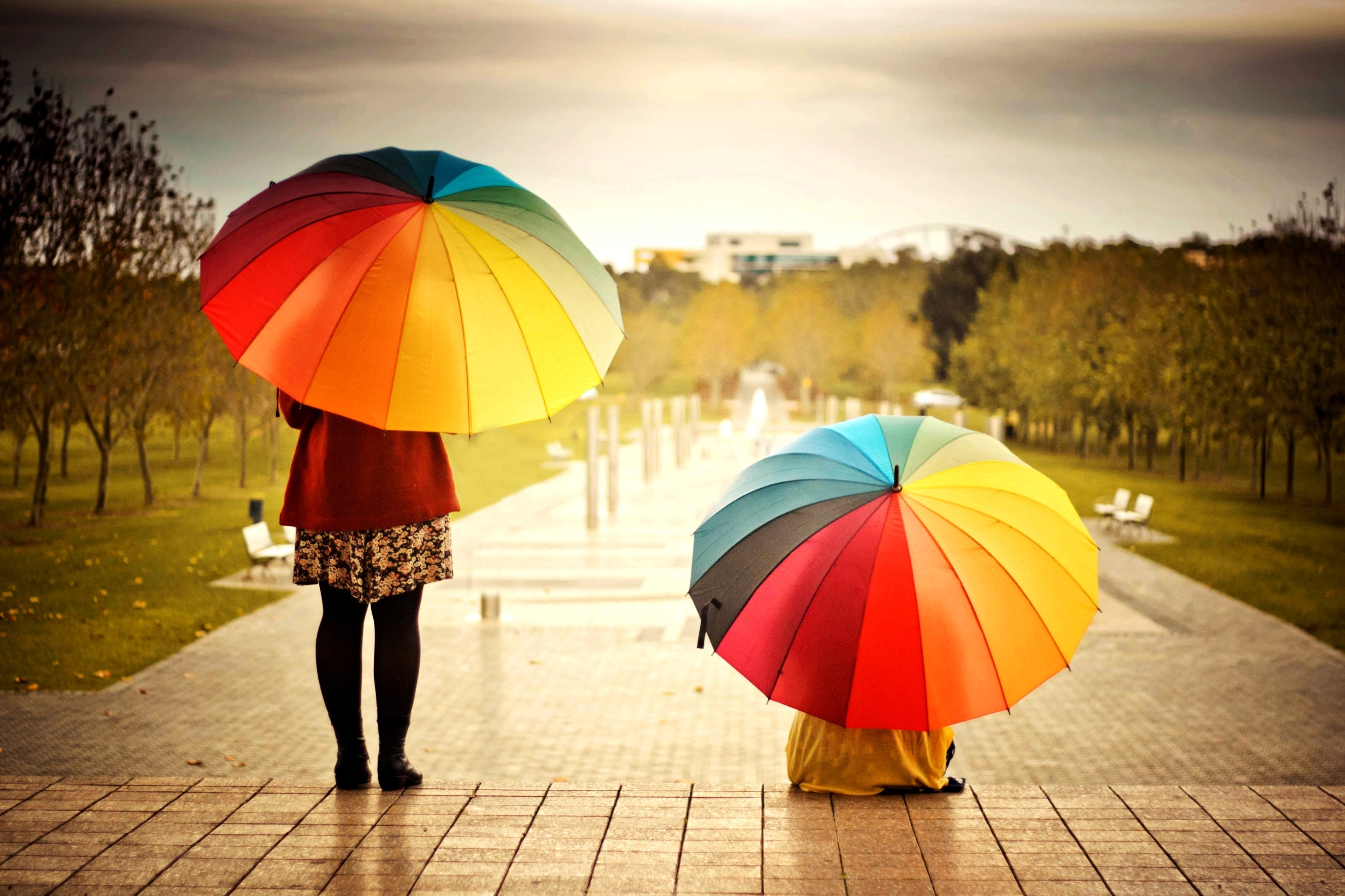 Rainbow Umbrella - HD Wallpaper 