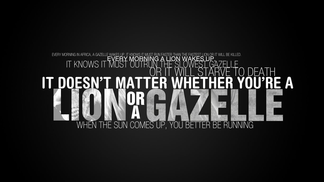 Gazelle Or Lion Quote - HD Wallpaper 