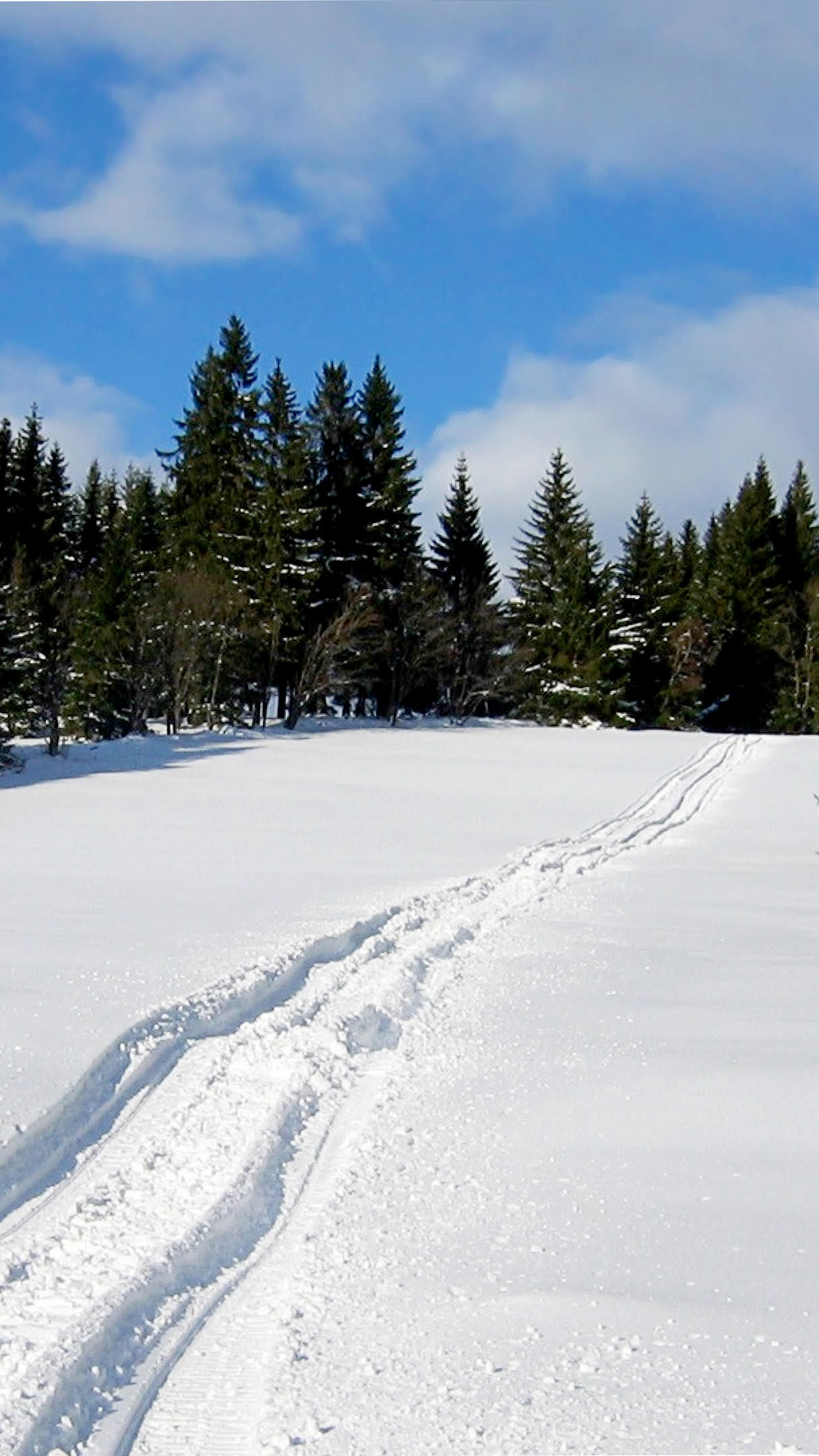 Wallpaper - HD Wallpaper 