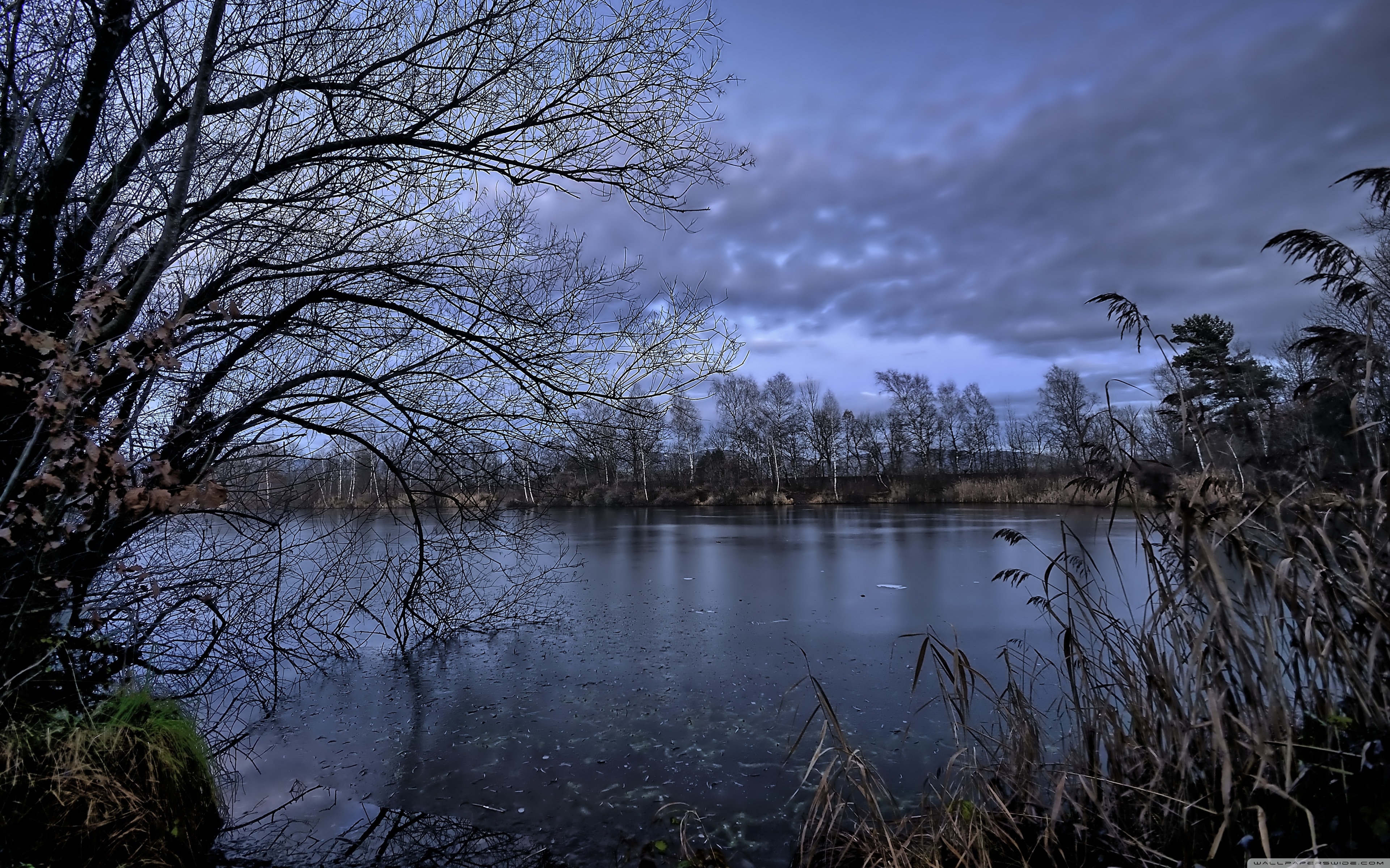 Apple Macbook Pro - HD Wallpaper 