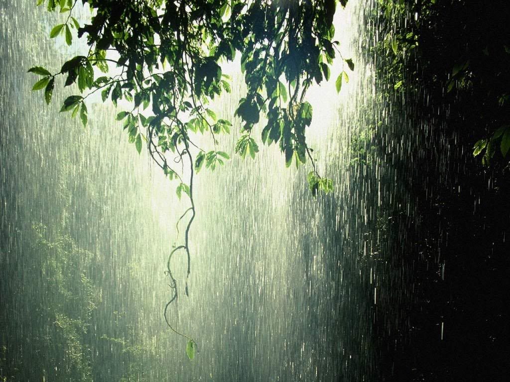 Tips Liburan - Raining Wallpaper For Pc - HD Wallpaper 