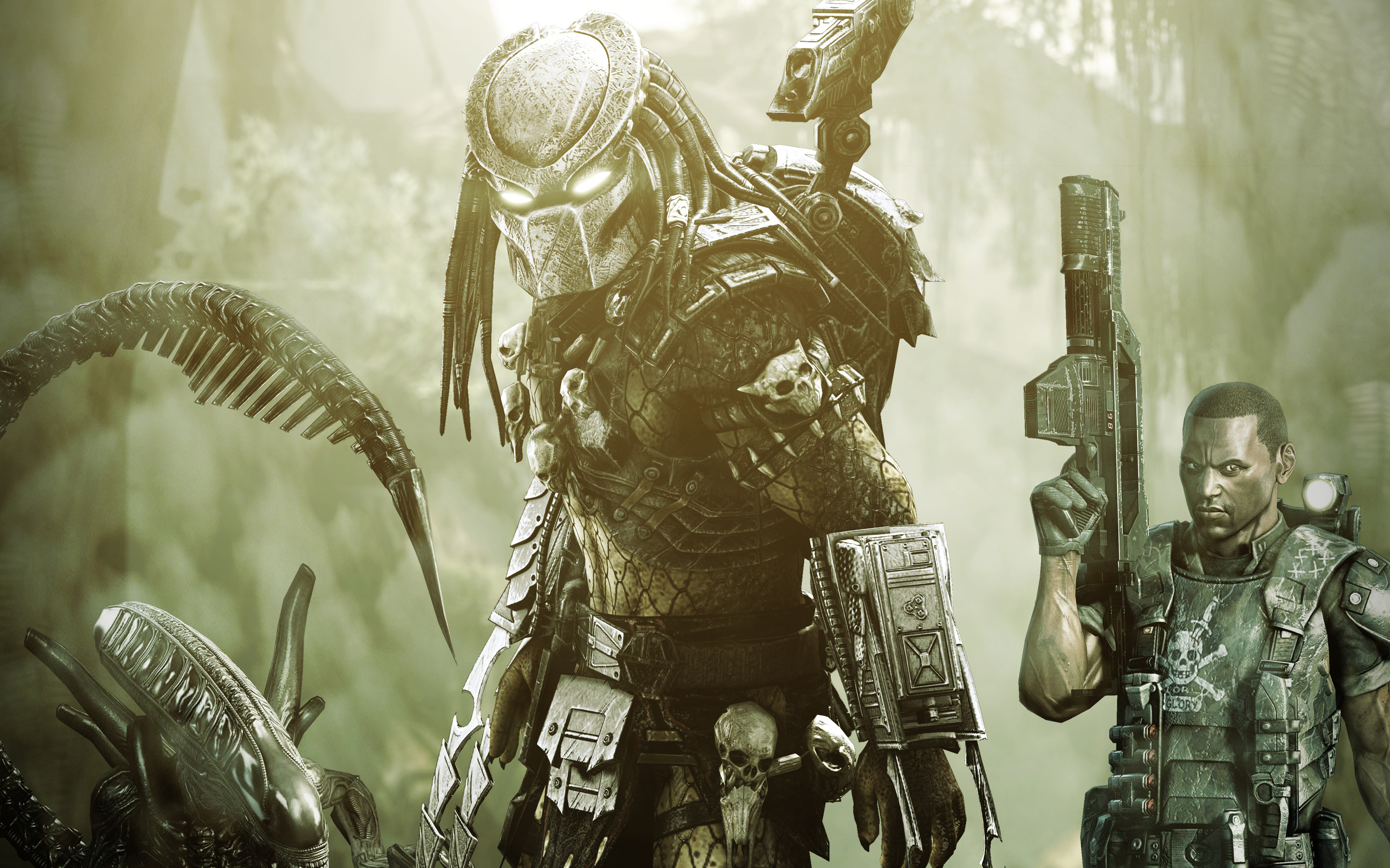 Alien Vs Predator Avp - HD Wallpaper 