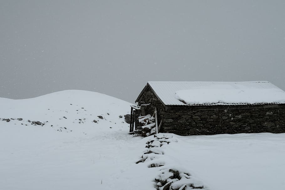 Snow - HD Wallpaper 