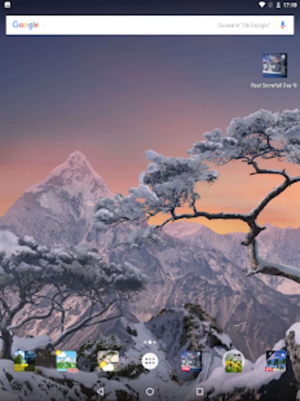 Wallpaper - HD Wallpaper 