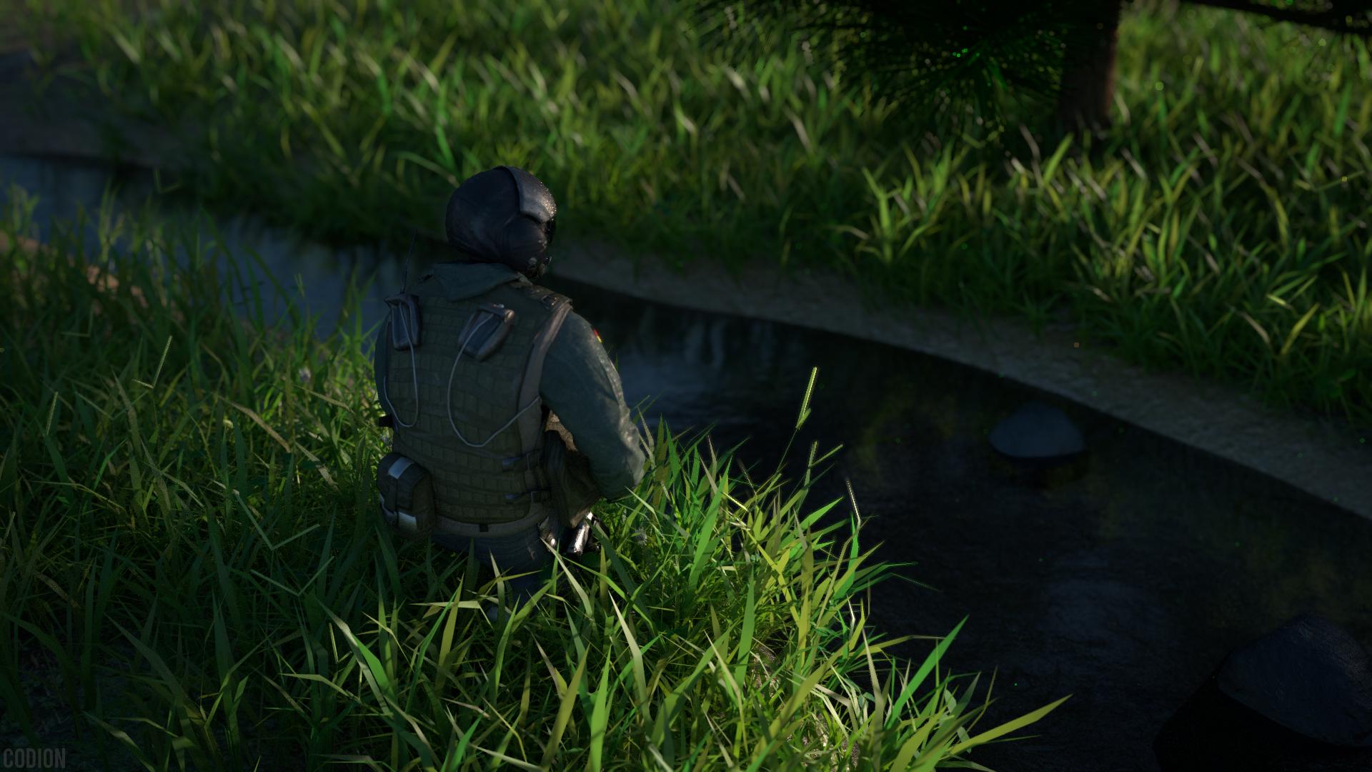 Tall Grass - HD Wallpaper 