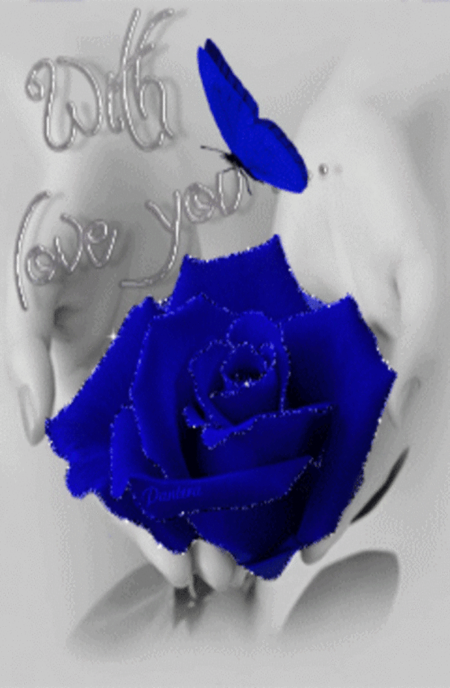Red Rose Love - 654x1000 Wallpaper Red Rose Love - 654x1000 Wallpaper