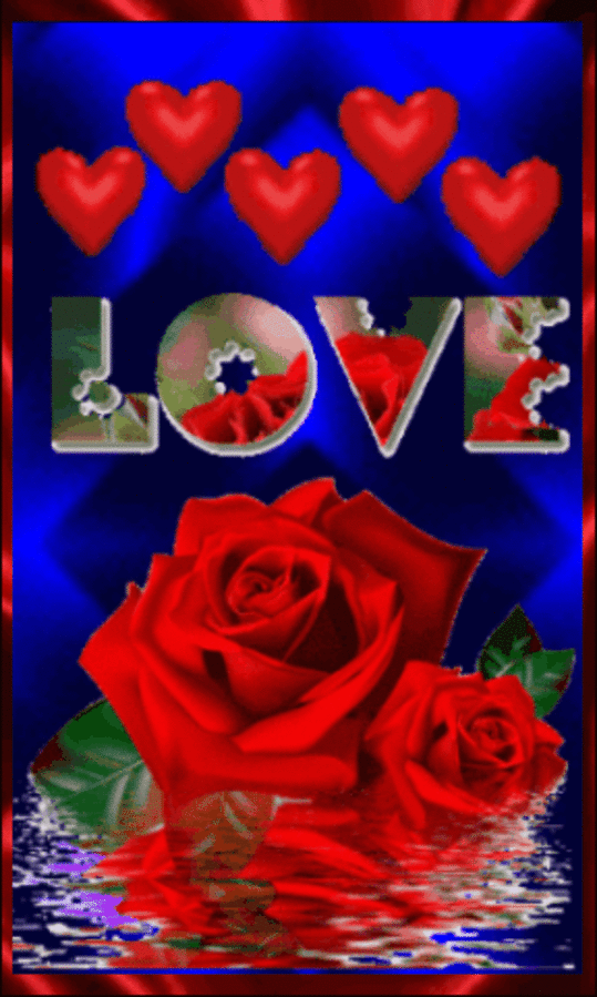 Rosas Con Reflejos Sobre Agua - HD Wallpaper 