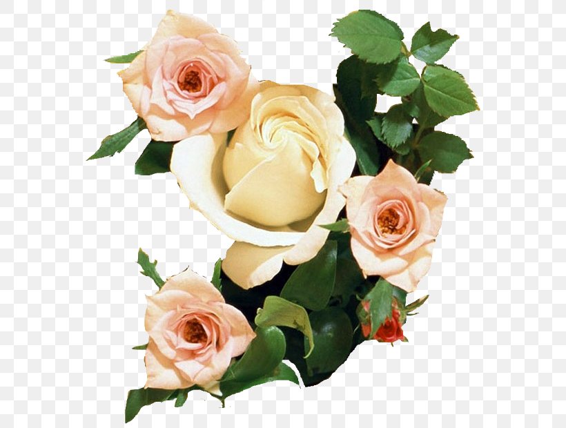 Rose Desktop Wallpaper Flower Bouquet Display Resolution, - Bunch Of Roses - HD Wallpaper 
