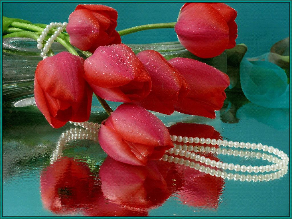 Pearls And Tulips - HD Wallpaper 