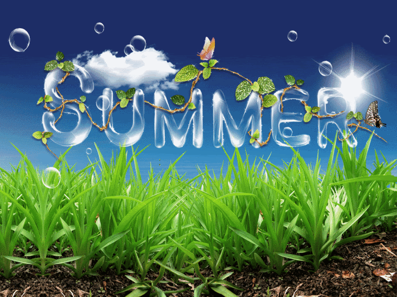 Its Summer Time - HD Wallpaper 