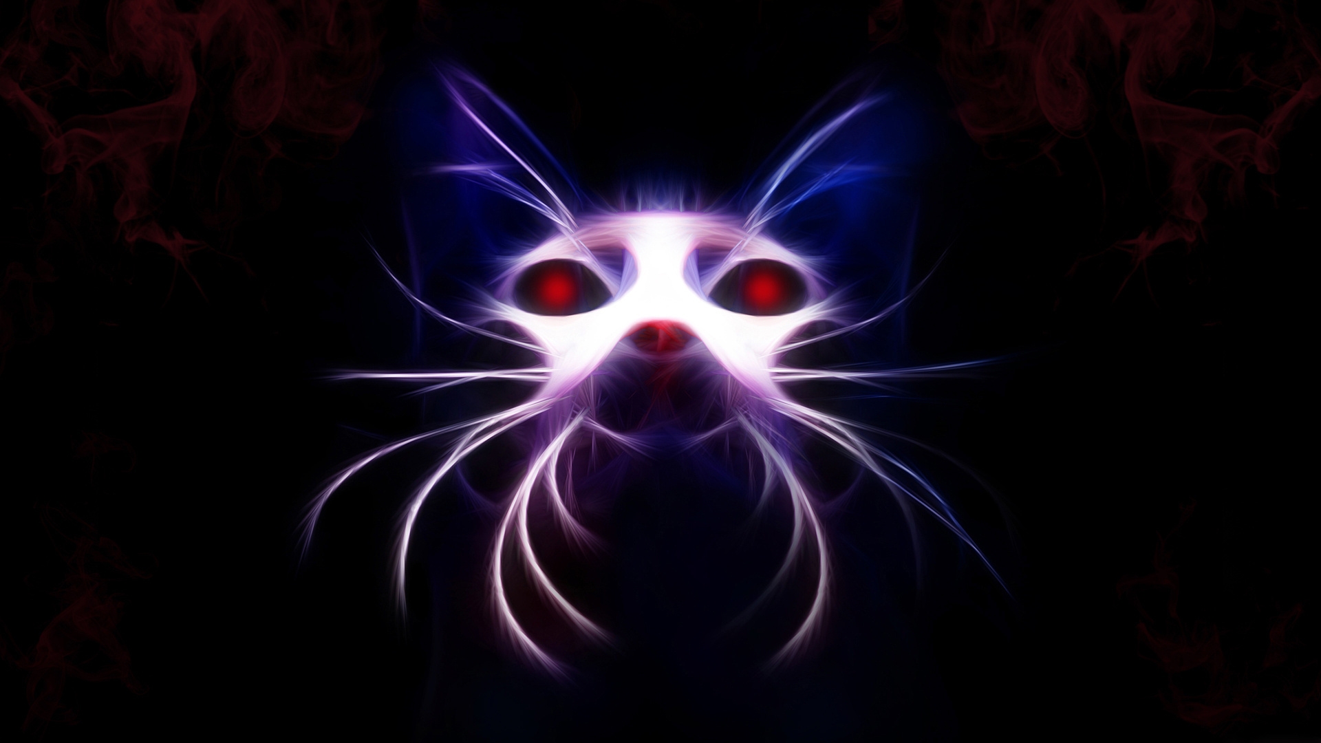 Wallpaper Cat Neon Insubstantial Muzzle - Black Background Neon Cat - HD Wallpaper 